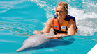 Swim with Dolphins Cozumel